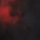 29