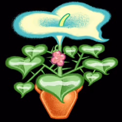 Bloomer #148