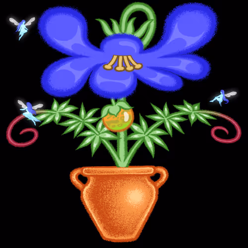 Bloomer #406