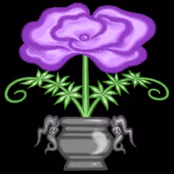 Bloomer #37