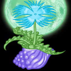 Bloomer #423