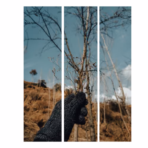 photo story #6