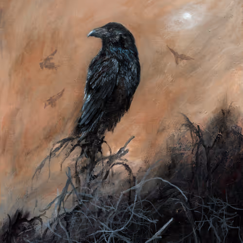 Raven S Nest