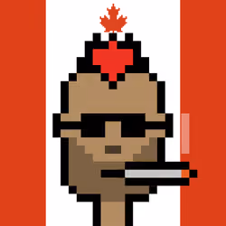 The Canadians NFT #173