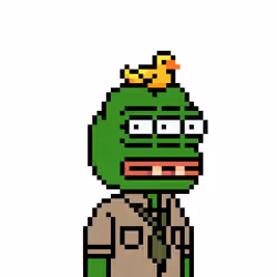 Foul Pepe Frog #702