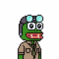 Foul Pepe Frog #1124