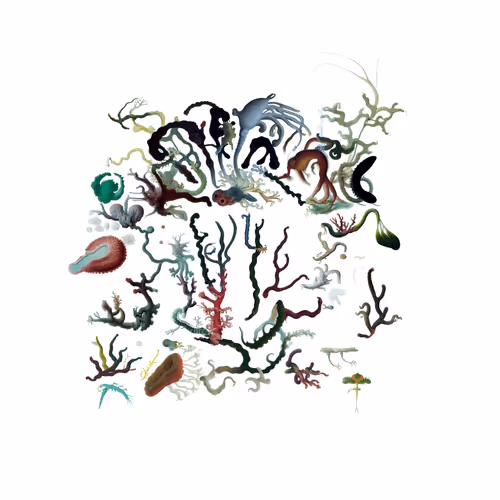 Item #1226855226 Media