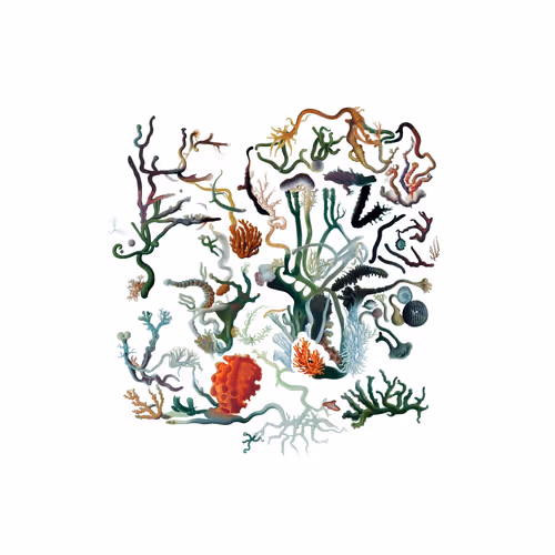 Item #3032382980 Media