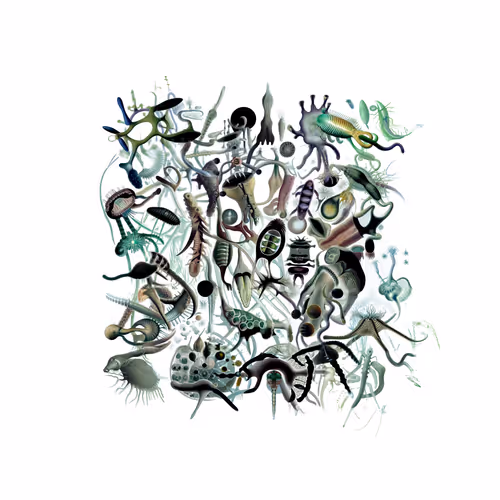 Item #3012881691 Media