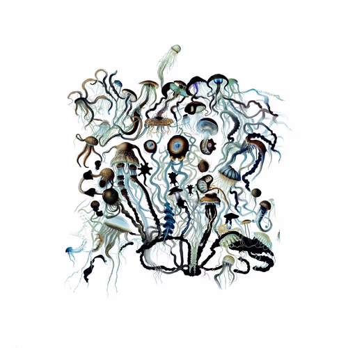 Item #2365014456 Media