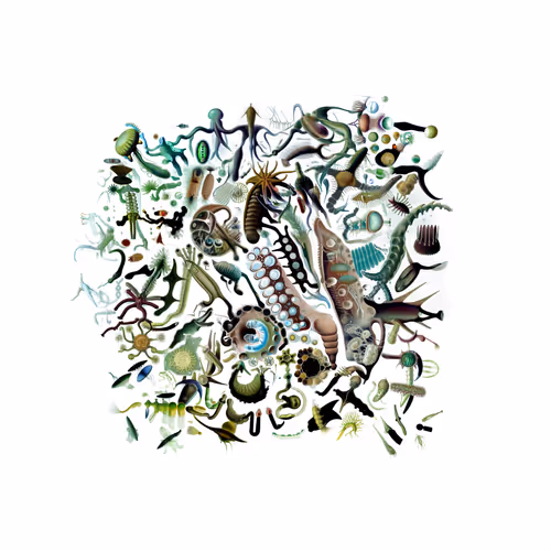 Item #1412685972 Media