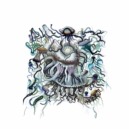 Item #2863480028 Media