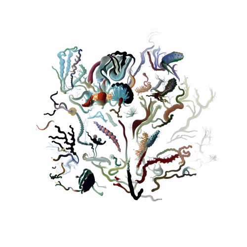 Item #1559389511 Media