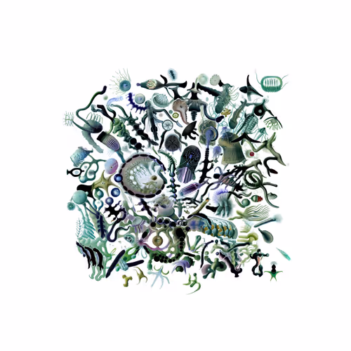 Item #3133709557 Media