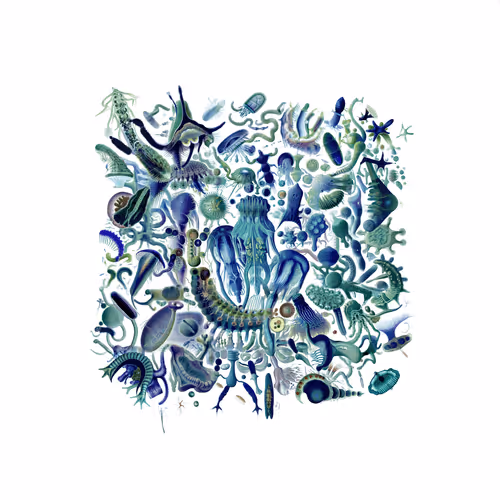 Item #2393703646 Media