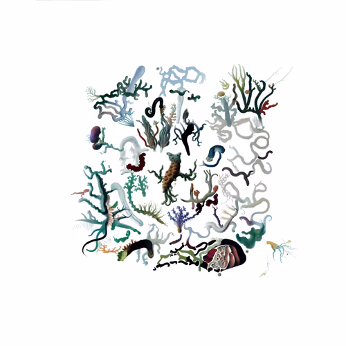 Item #2351611900 Media