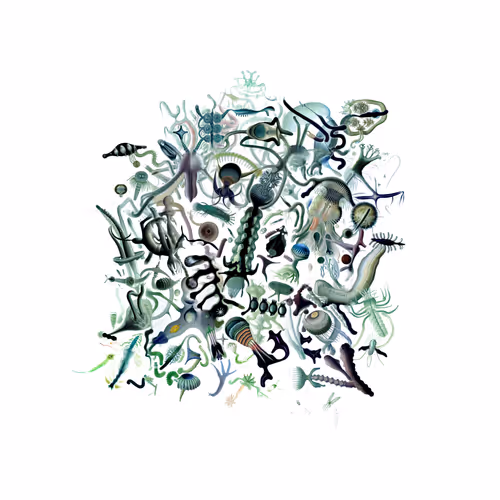 Item #3633979471 Media