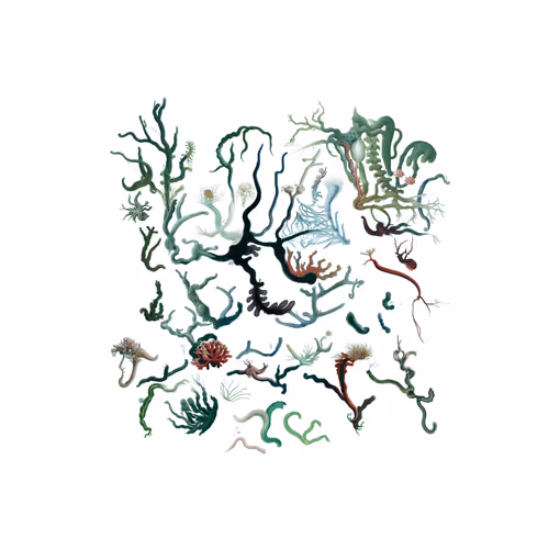 Item #3096434774 Media