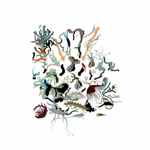 Item #3400713969 Media