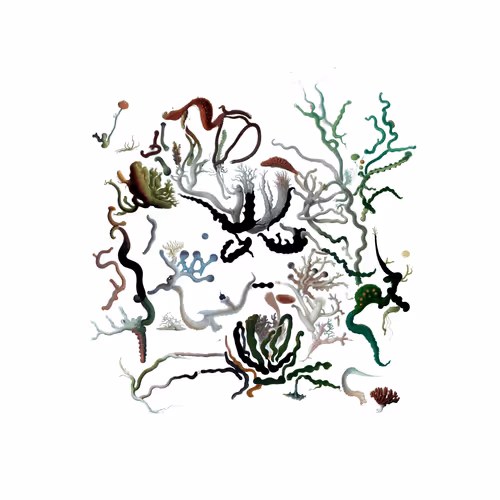 Item #3351184810 Media