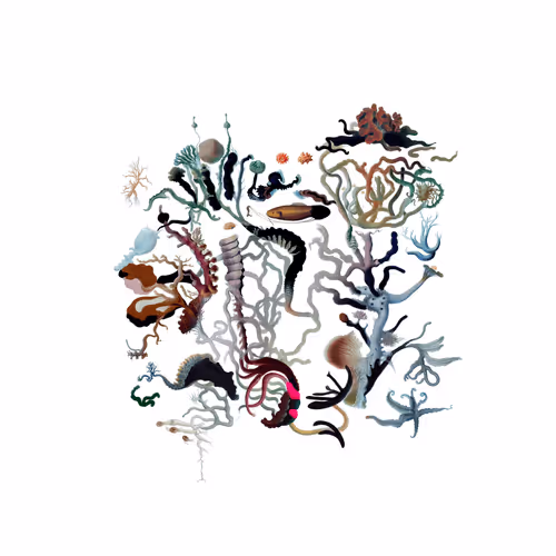 Item #2937667034 Media