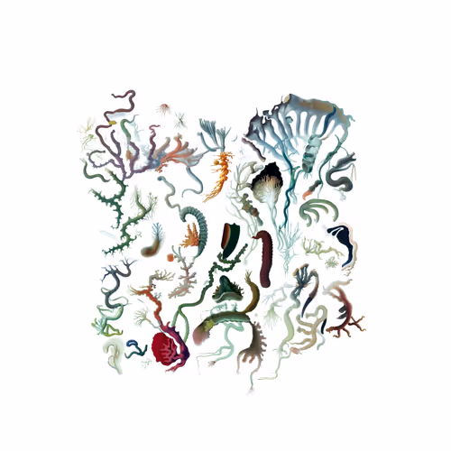 Item #1247583151 Media