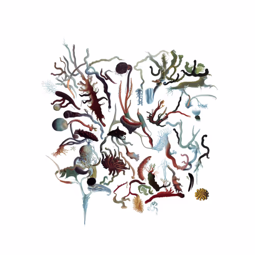 Item #2884763025 Media