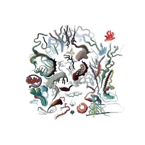 Item #1431449399 Media