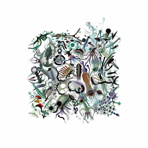 Item #416791887 Media