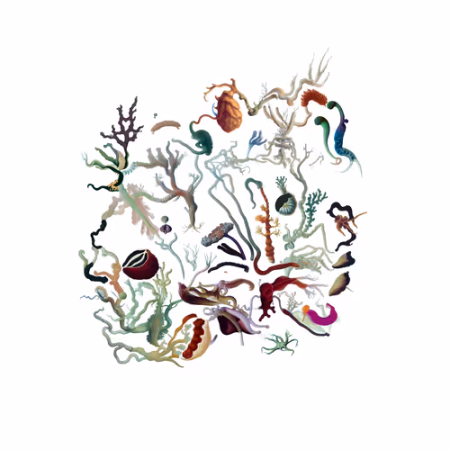 Item #3342619343 Media