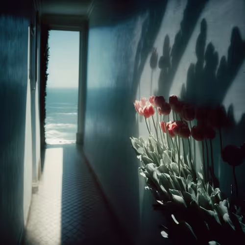 In Dreams V2 1