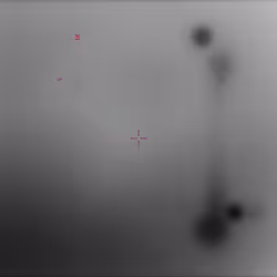 UAP_0577