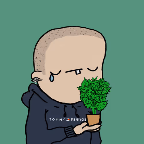 Its Free Mint