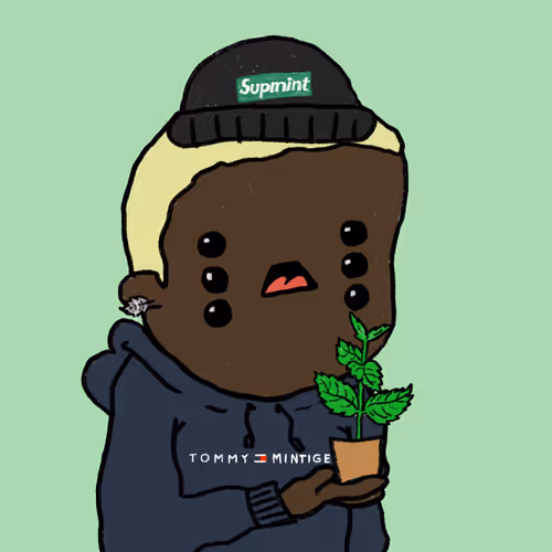 Its Free Mint