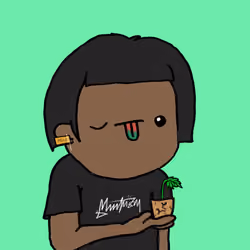 It's free mint #4916
