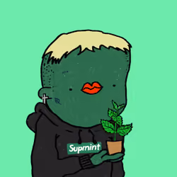 It's free mint #4798