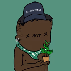 It's free mint #4869