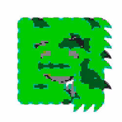 Kudzu #1775