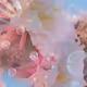 Bloom - 4gSsjAx89K