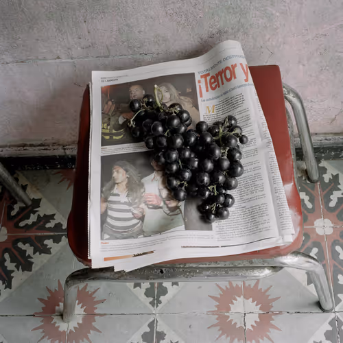 Dog Days Bogota By Alec Soth