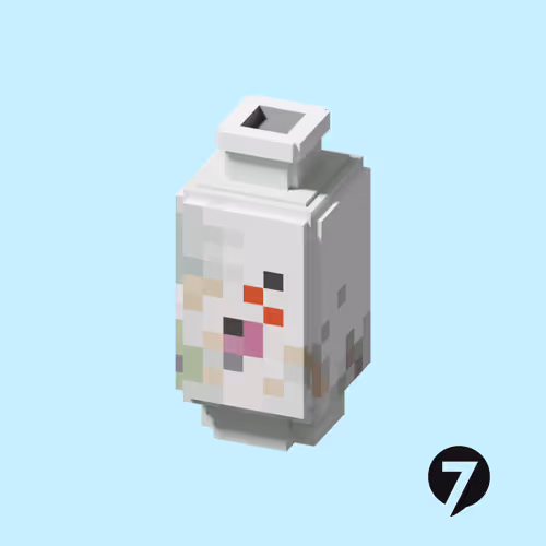 Item #107 Media