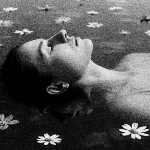 The Poetry Of The Darkroom