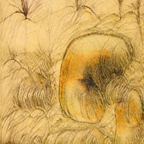 Unsupervised Burned Machine Hallucinations Moma