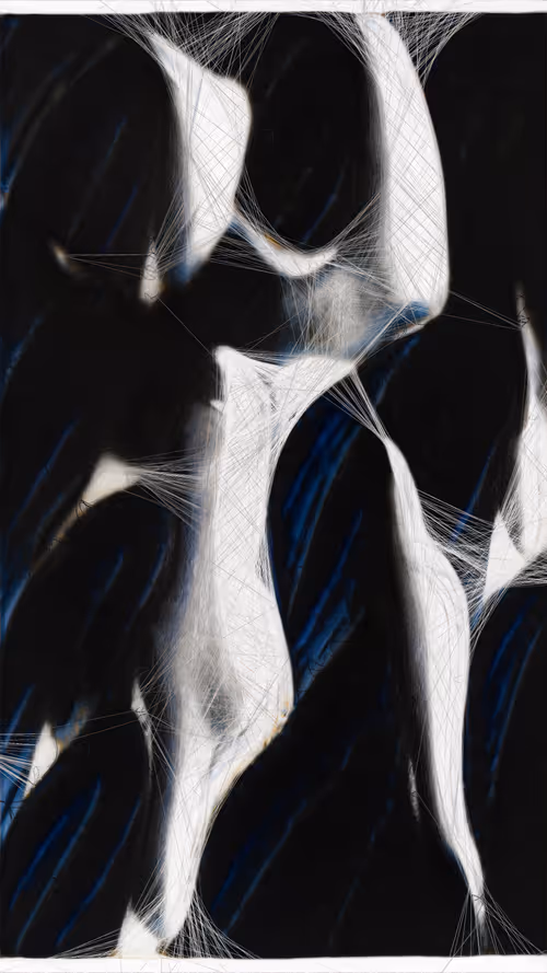 Item #72683907607289245948376378937398657013536021870223758380494556672121413187216 Media