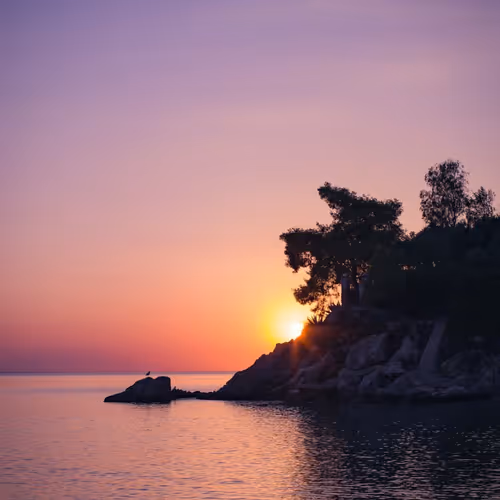 Sve - Photography Editions