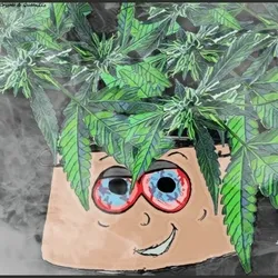 ℙ𝕠𝕥 ℍ𝕖𝕒𝕕