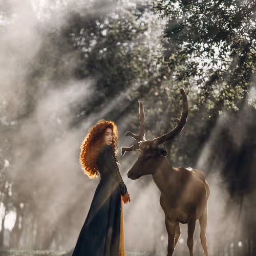 A Glimpse of a Fairytale