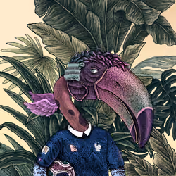 The Beaks #562