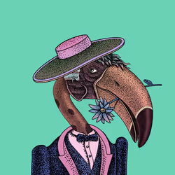The Beaks #447