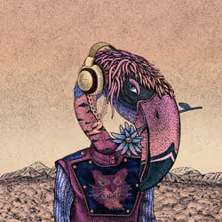 The Beaks #402